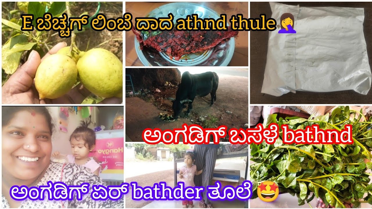 ಅಂಗಡಿಗ್ ಏರ್ bathder ತೂಲೆ /E ಬೆಚ್ಚಗ್ ಲಿಂಬೆ ದಾದ athnd thule🤦‍♀️🤦‍♀️/ಅಂಗಡಿಗ್ ಬಸಳೆ bathnd 😍😍