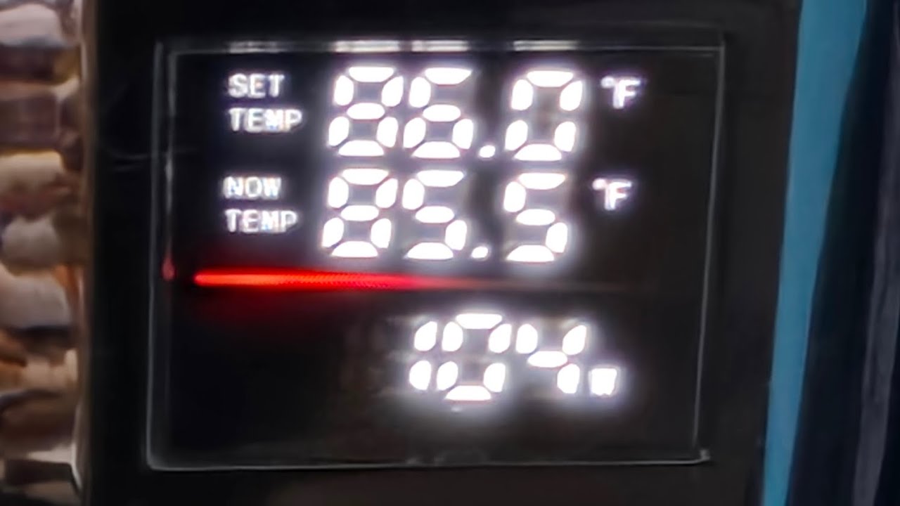 FEDOUR 600w Titanium Aquarium Heater.  Review. 