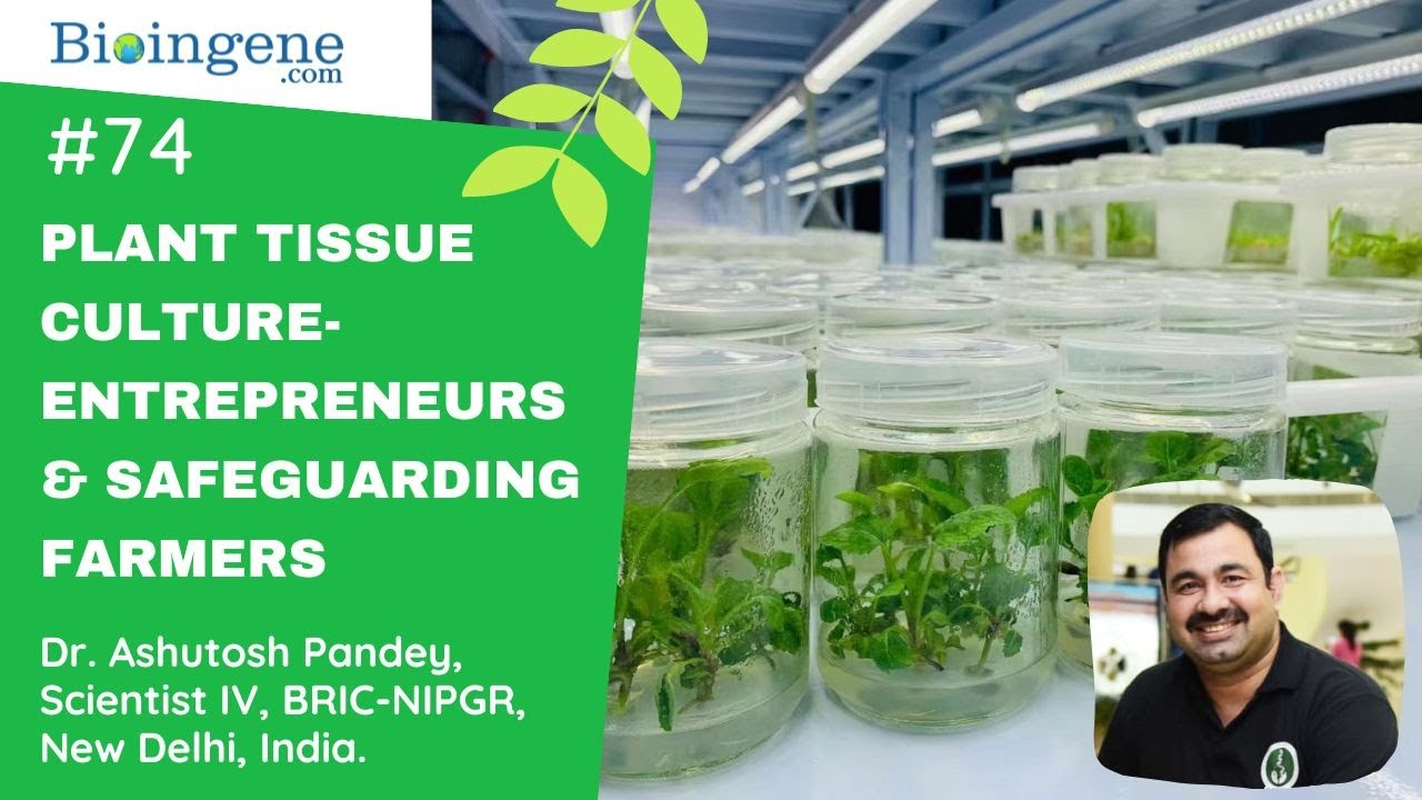 International Webinar- Encouraging Entrepreneurs & Safeguarding Farmers Using Plant Tissue Culture