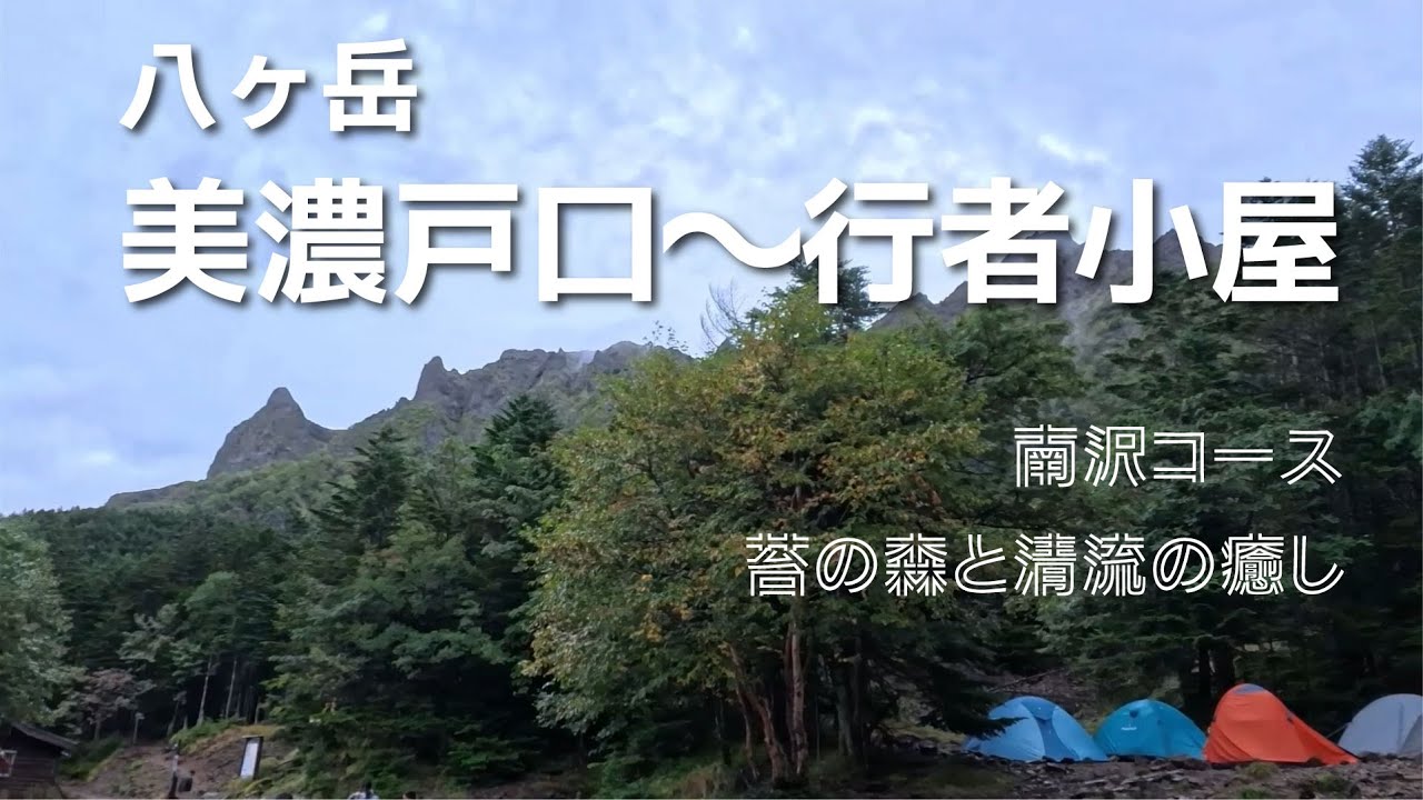 八ヶ岳 美濃戸口～行者小屋（南沢コース）　苔の森と清流の癒し