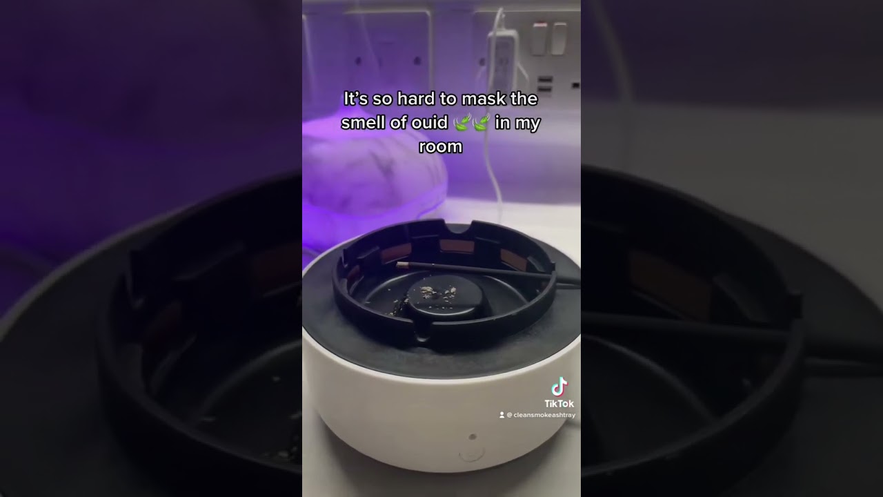 Hiding weed smell in my Uni accom