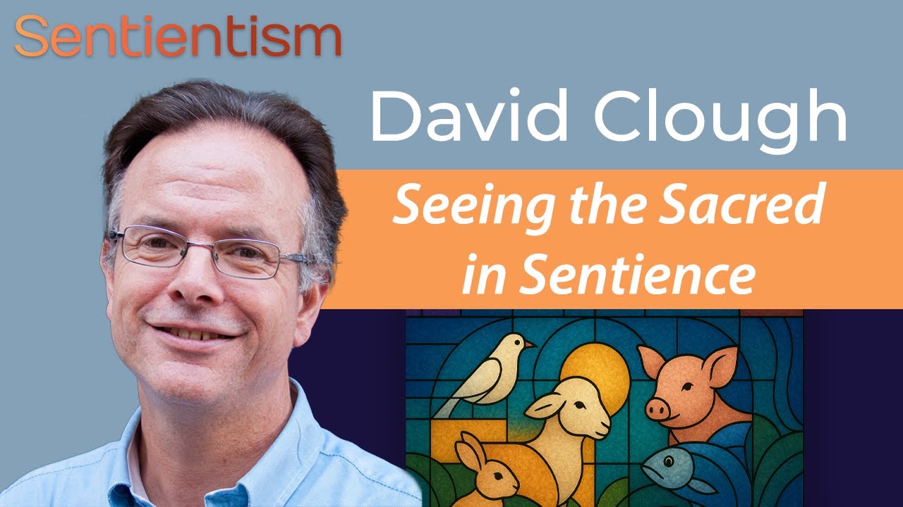 Religion and Animals - David Clough - #sentientism 239