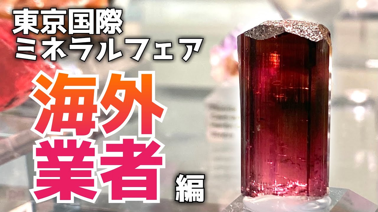 Токийская международная выставка минералов (Shinjuku Show) — выбор зарубежных поставщиков и предо...