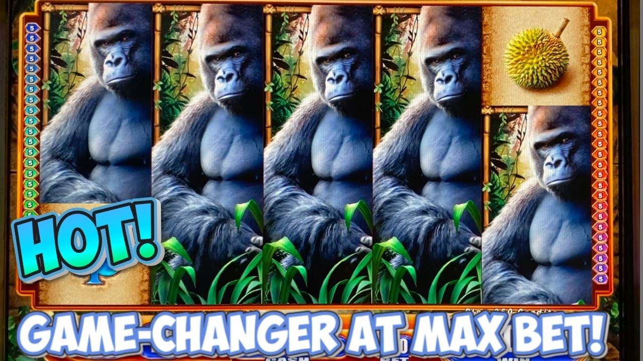 ★UNBELIEVABLE!★ DROP MASSIVE HIT! INSANE WIN on Queen Of The Wild Slot Machine! WMS Classic MAX BET