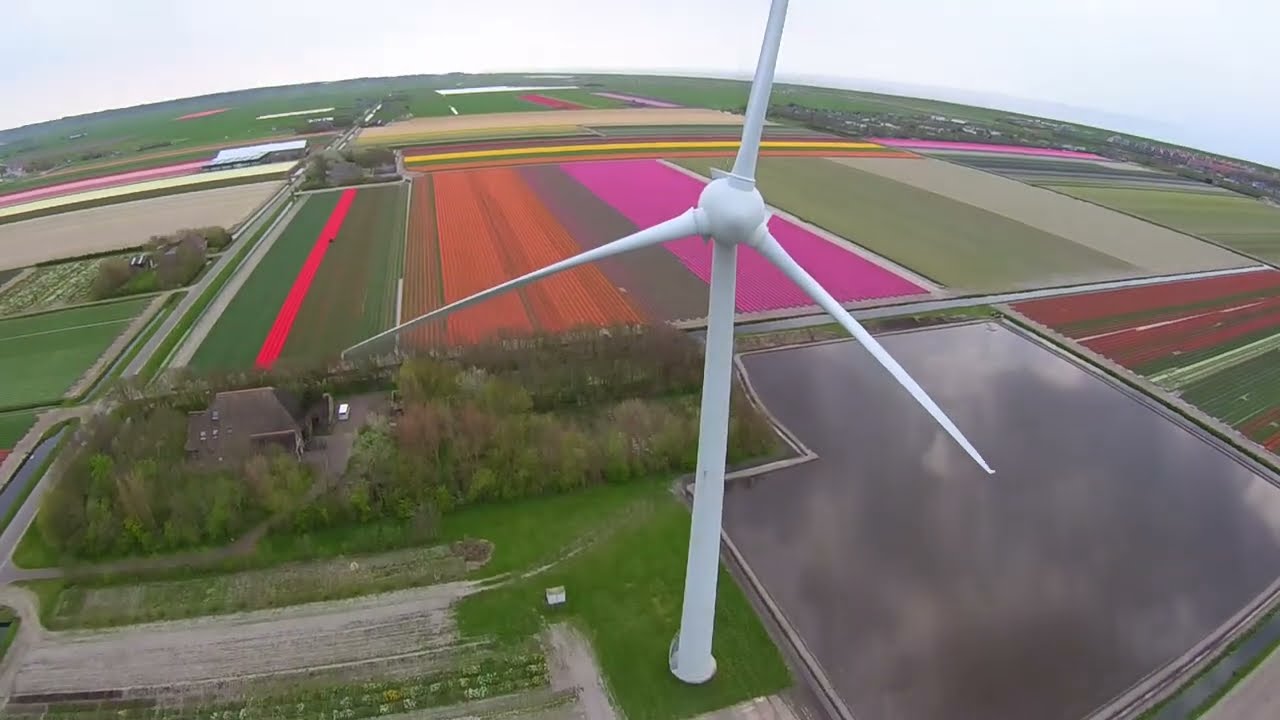Netherlands During Bloom Season