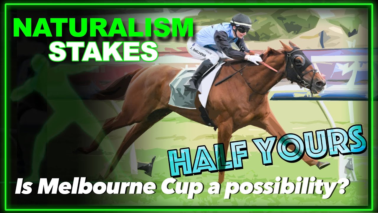 2025 Naturalism Stakes | Half Yours, Statuary, Brayden Star