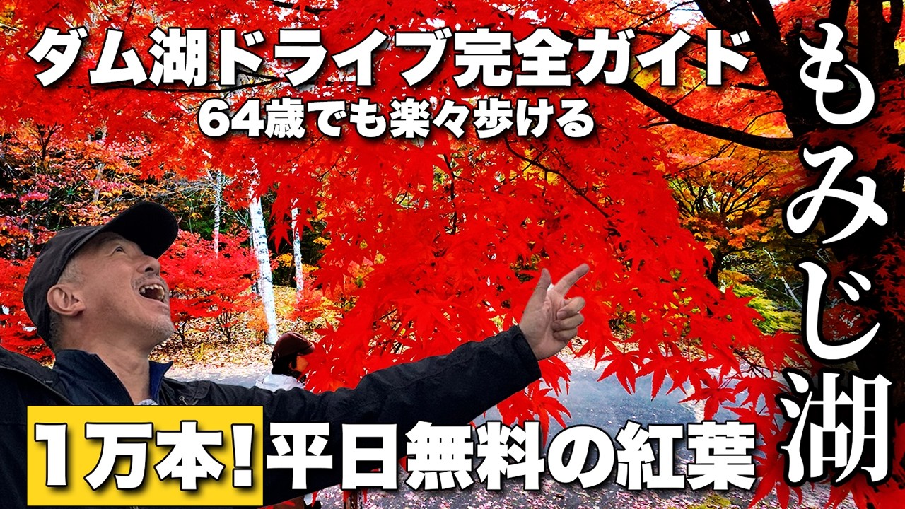 平日無料！【1万本の紅葉】もみじ湖ドライブ完全ガイド【渋滞回避】日本屈指「もみじのトンネル」を歩く！【旅行VLOG、レビュー】高さ72mダム湖の絶景！もみじ湖マルシェ開催中！駐車場情報も詳しく紹介！
