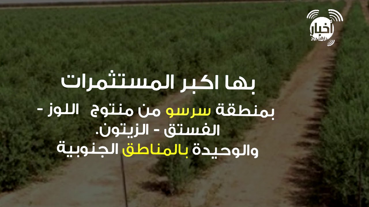 عين وسارة الجلفة هل تستحق ولاية منتدبة؟