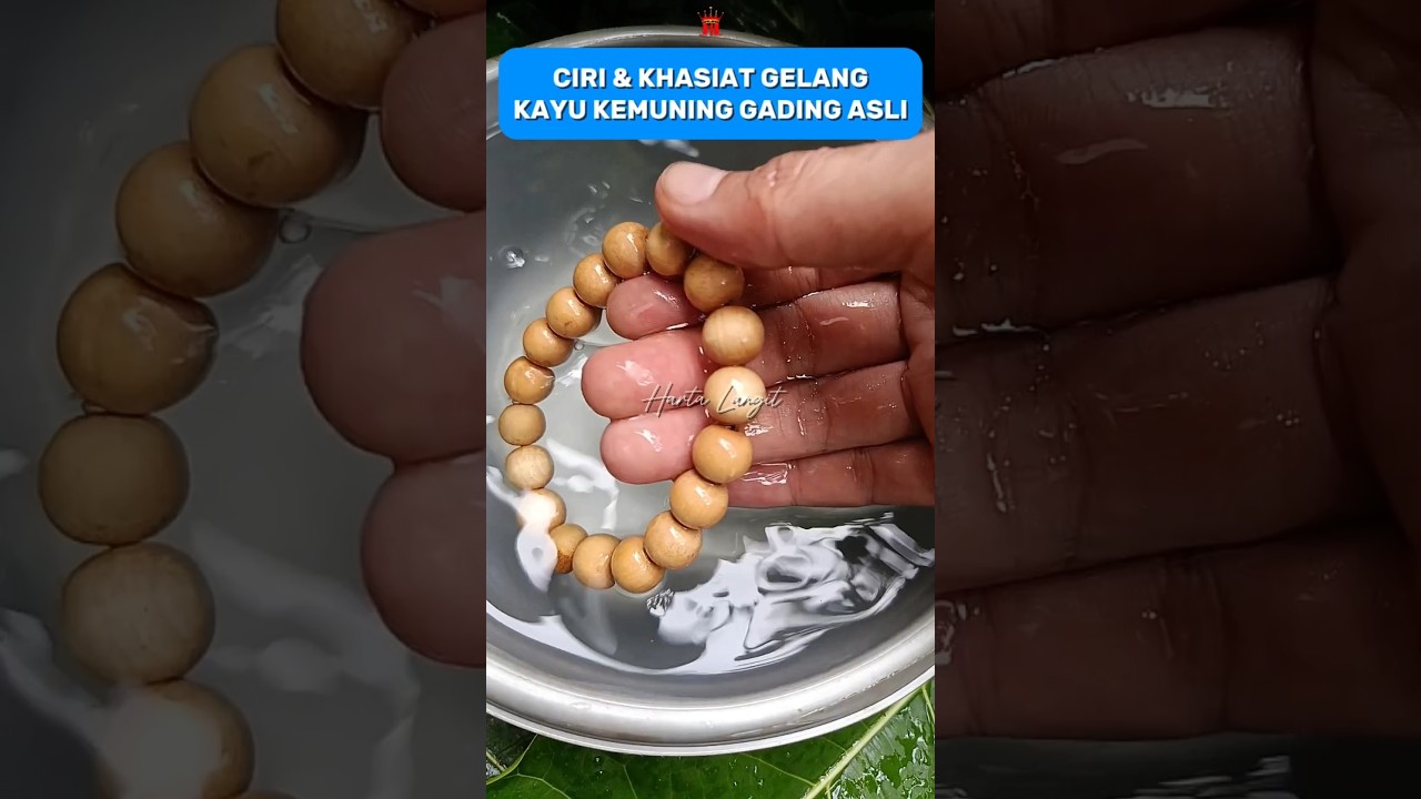 Ciri & Khasiat Gelang Kayu Kemuning Gading Asli