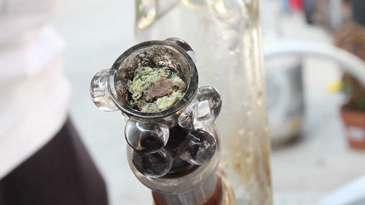 Mountain OG Kush Bubble Hash Smoke Session