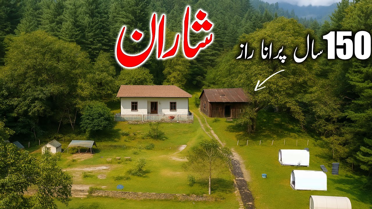 You Won’t Believe This Forest is in Pakistan! — Sharan Valley — EP:46