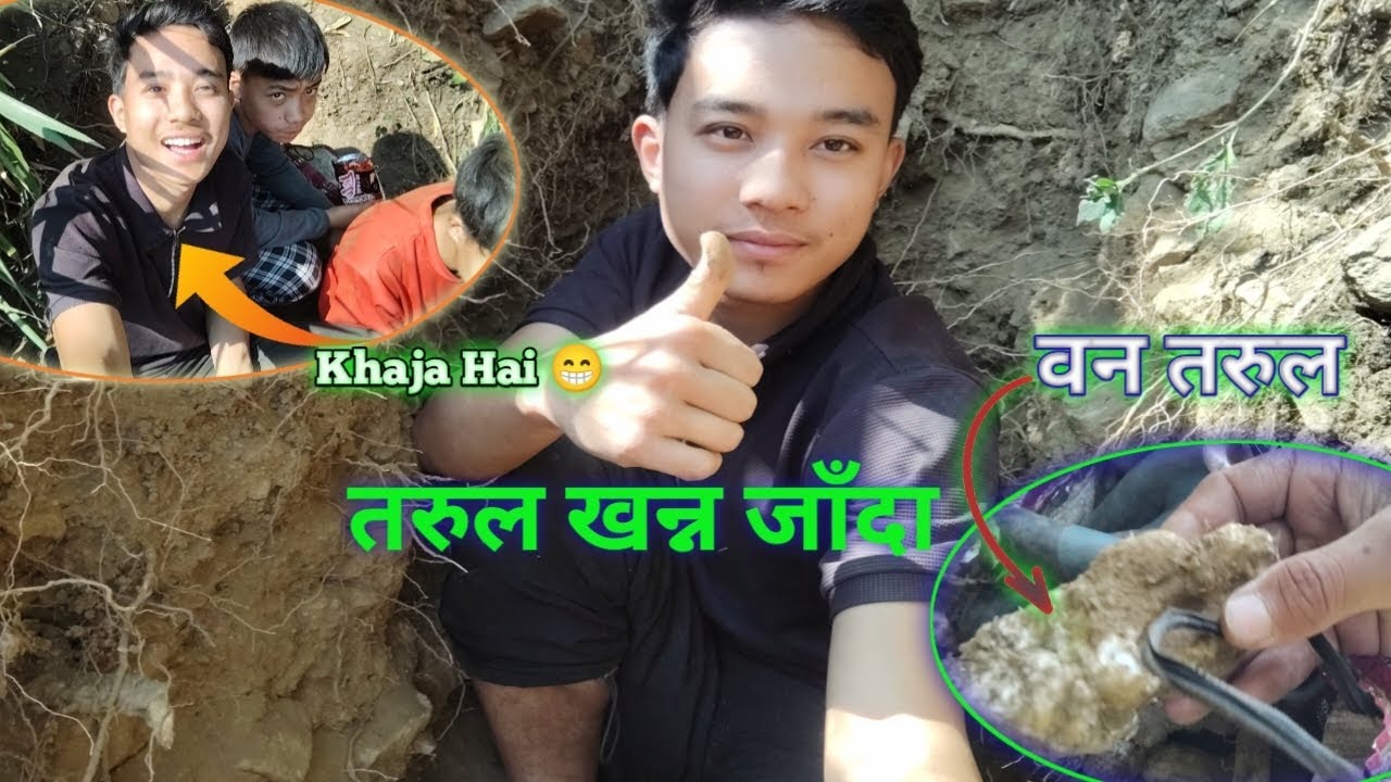 तरुल खासै फालेन दुःख मात्र धेरै भयो। 🥰😊🥰 #viral  #vlog 
