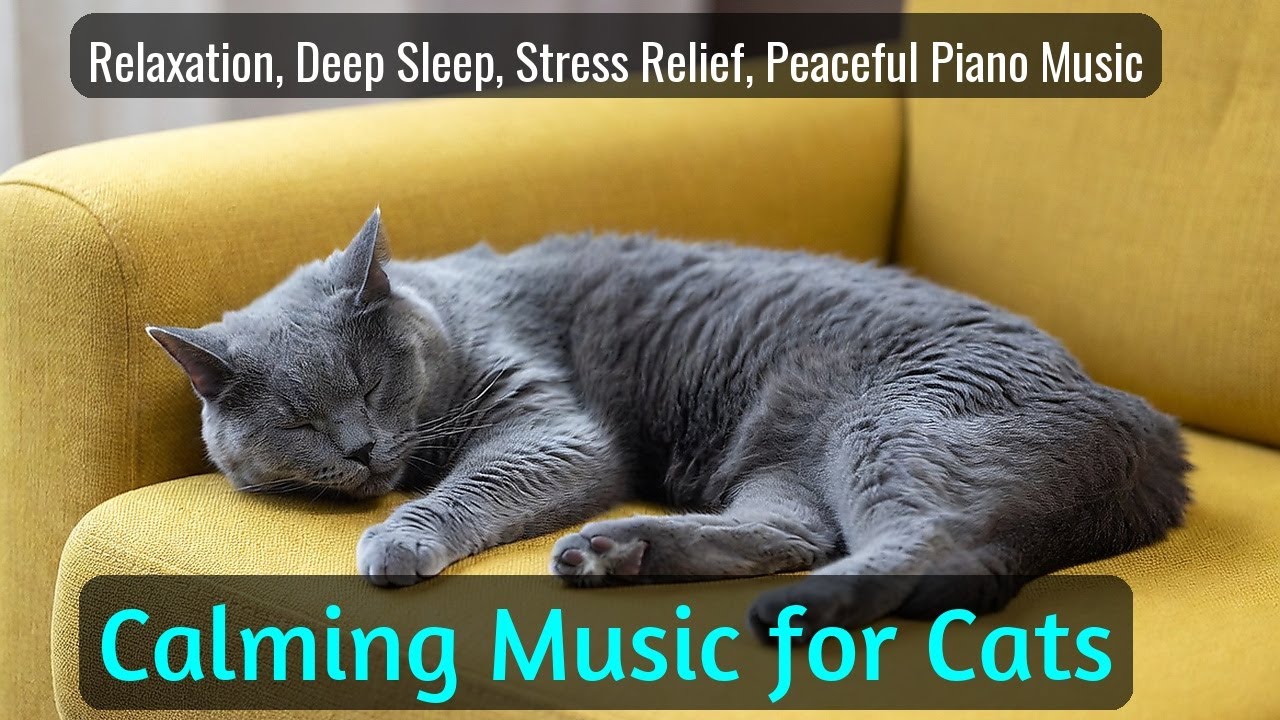 Calming Music for Cats - Relaxation, Deep Sleep, Stress Relief, Peaceful Piano Music | Season 53