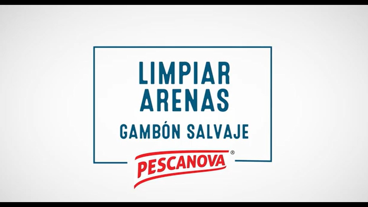 &iquest;C&oacute;mo eliminar las arenas de langostinos y gambones?