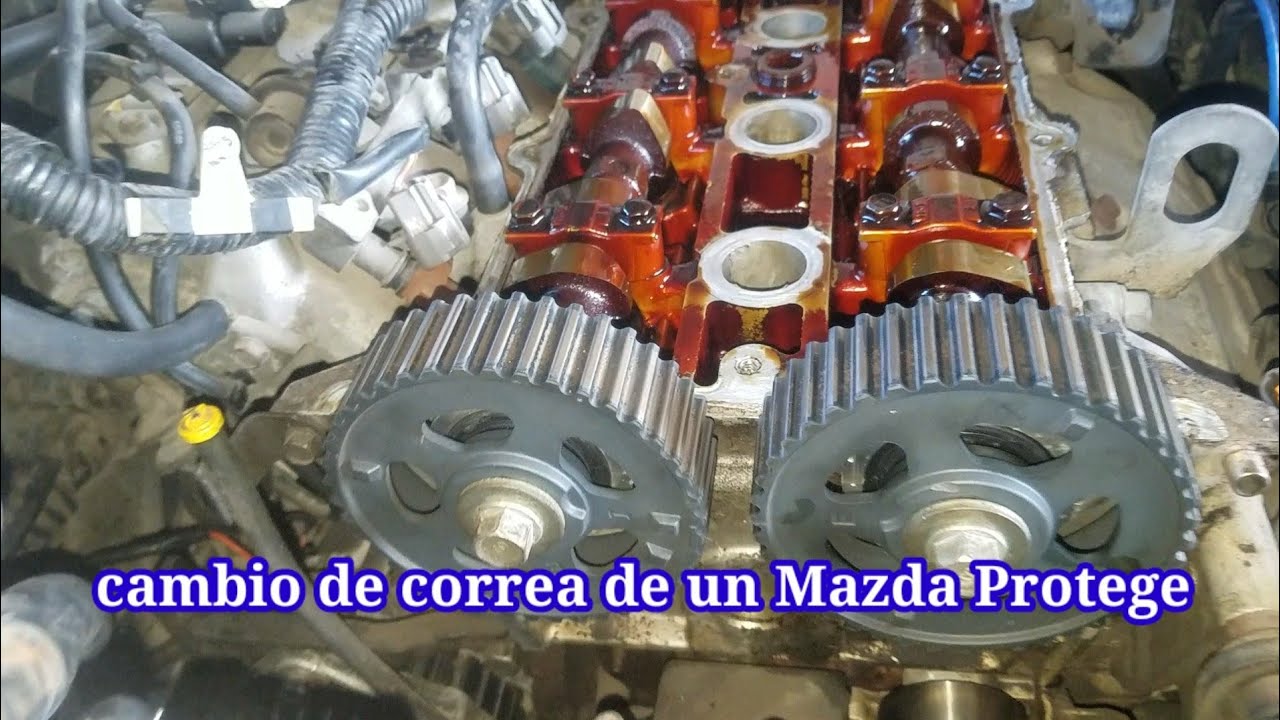 cambio de correa distribución de un Mazda Protege año 200