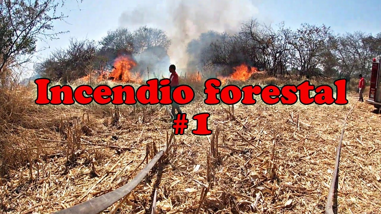 INCENDIO DE PASTIZAL!!