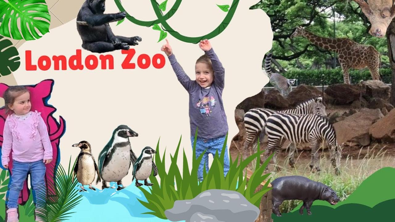 London Zoo Animals