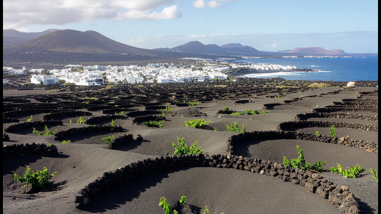 The Island That Grows Wine in Volcanic Ash | Unique Vineyards in Lanzarote