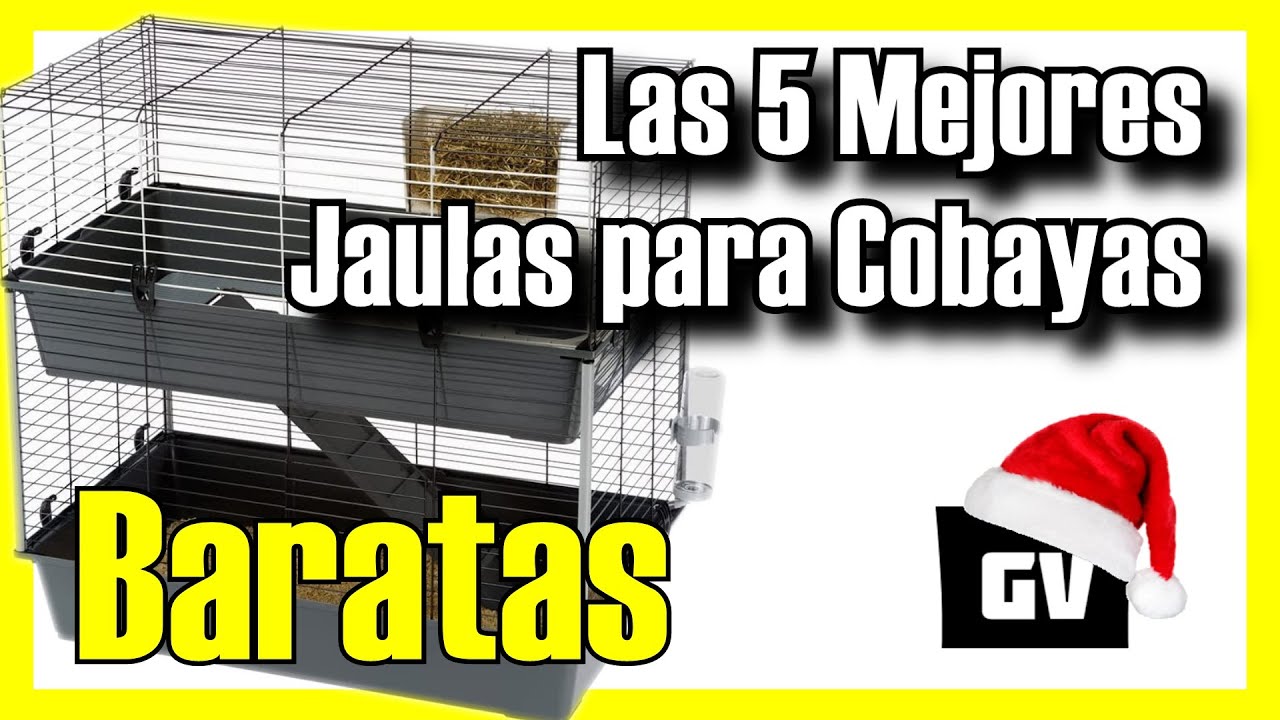 🐹🔥 Las 5 MEJORES Jaulas para Cobayas BARATAS de Amazon [2025]✅[Calidad/Precio] Ideales para Cuyos