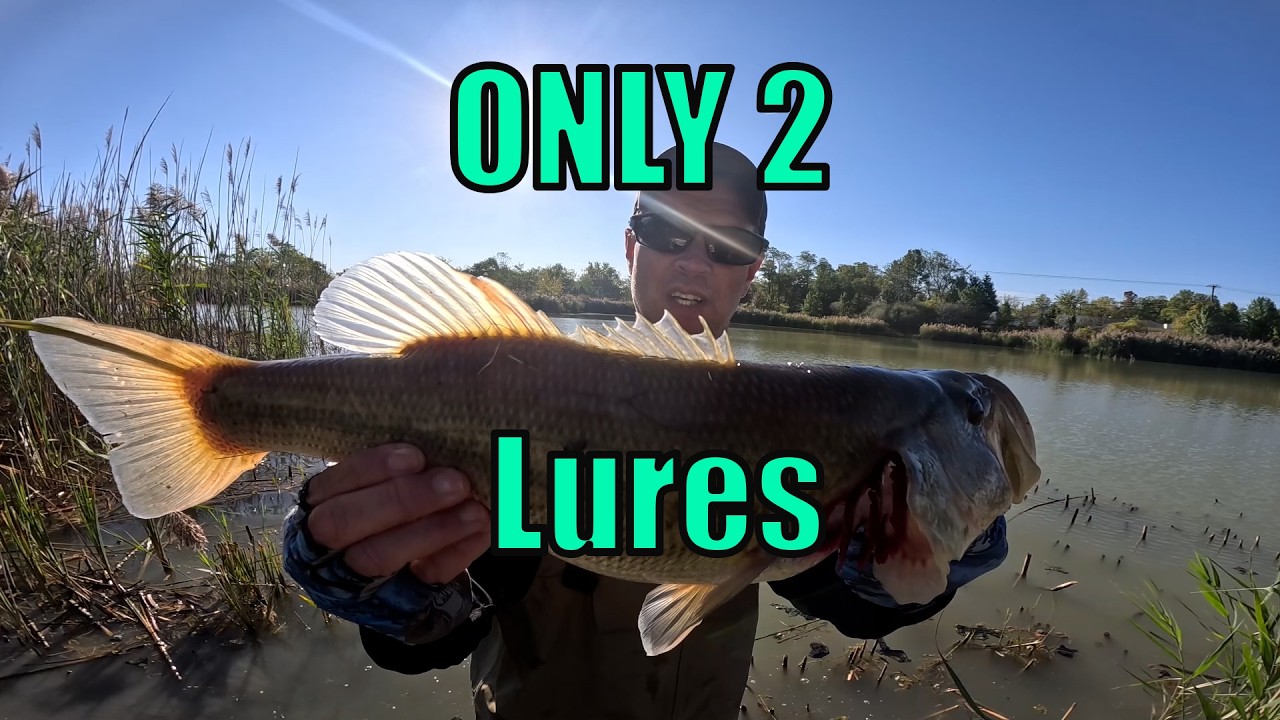 Only 2 Lures You Need for Pressured Public Ponds