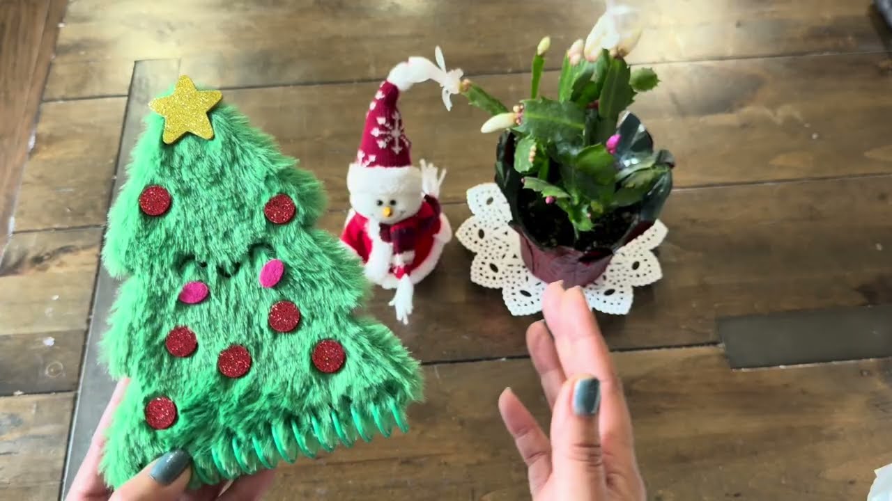 #дружбавкаждыйдень Праздничные поздравления 💕🎄