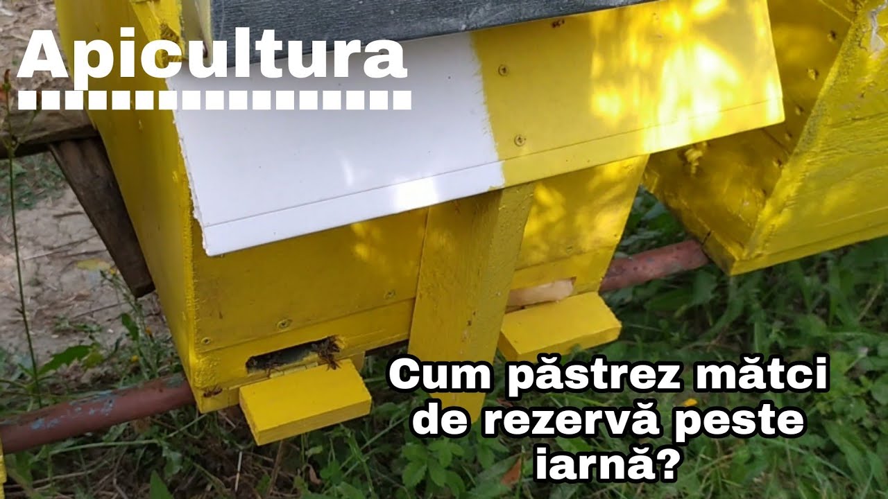 Cum păstrez mătci de rezervă peste iarnă?