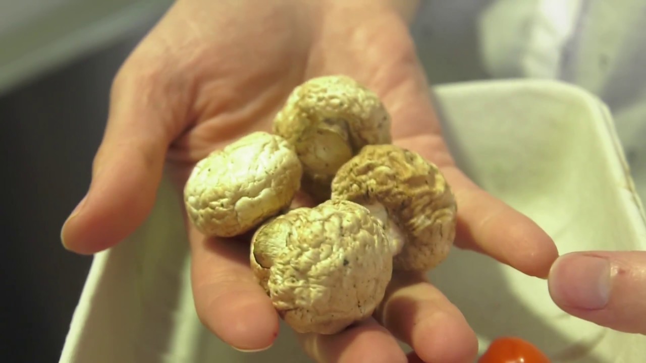 Ugly Food, la lucha contra la tiranía de la estética