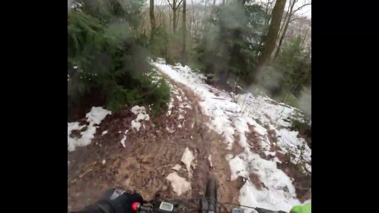 Wildeste Bedinungen auf der Wilde Maus