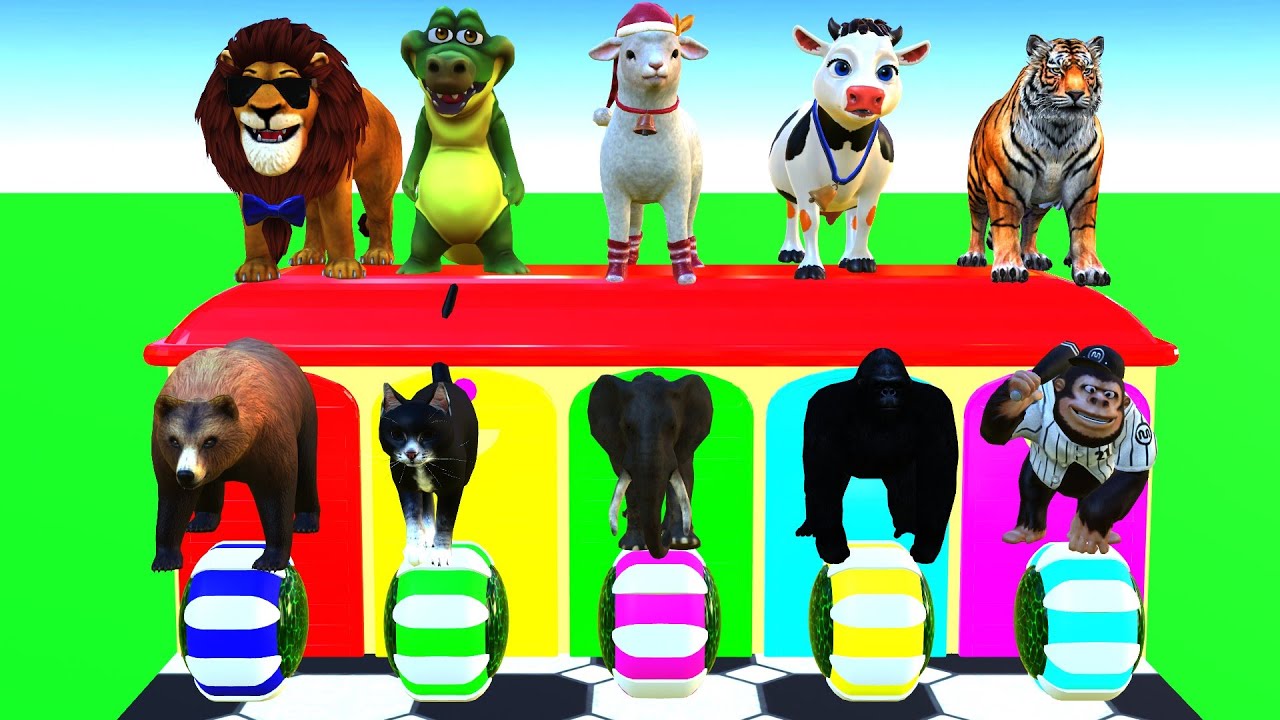 Long Slide Game With Bear Tiger Elephant Cat 3d Game Animal Funny 3d Animal