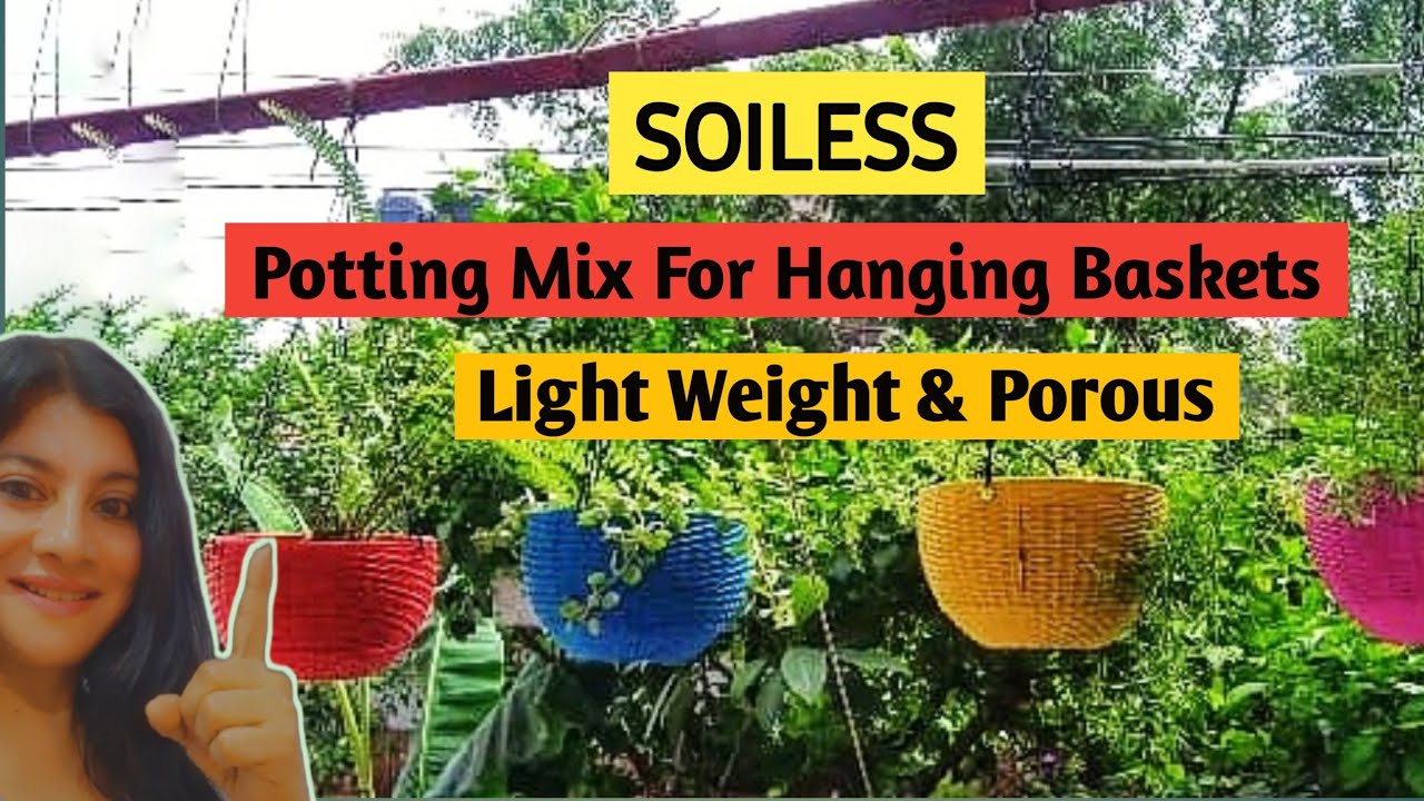 Soiless Potting Mix For Hanging Baskets/Potting Mix For Hanging Pots/Permanent Hanging Basket Plants