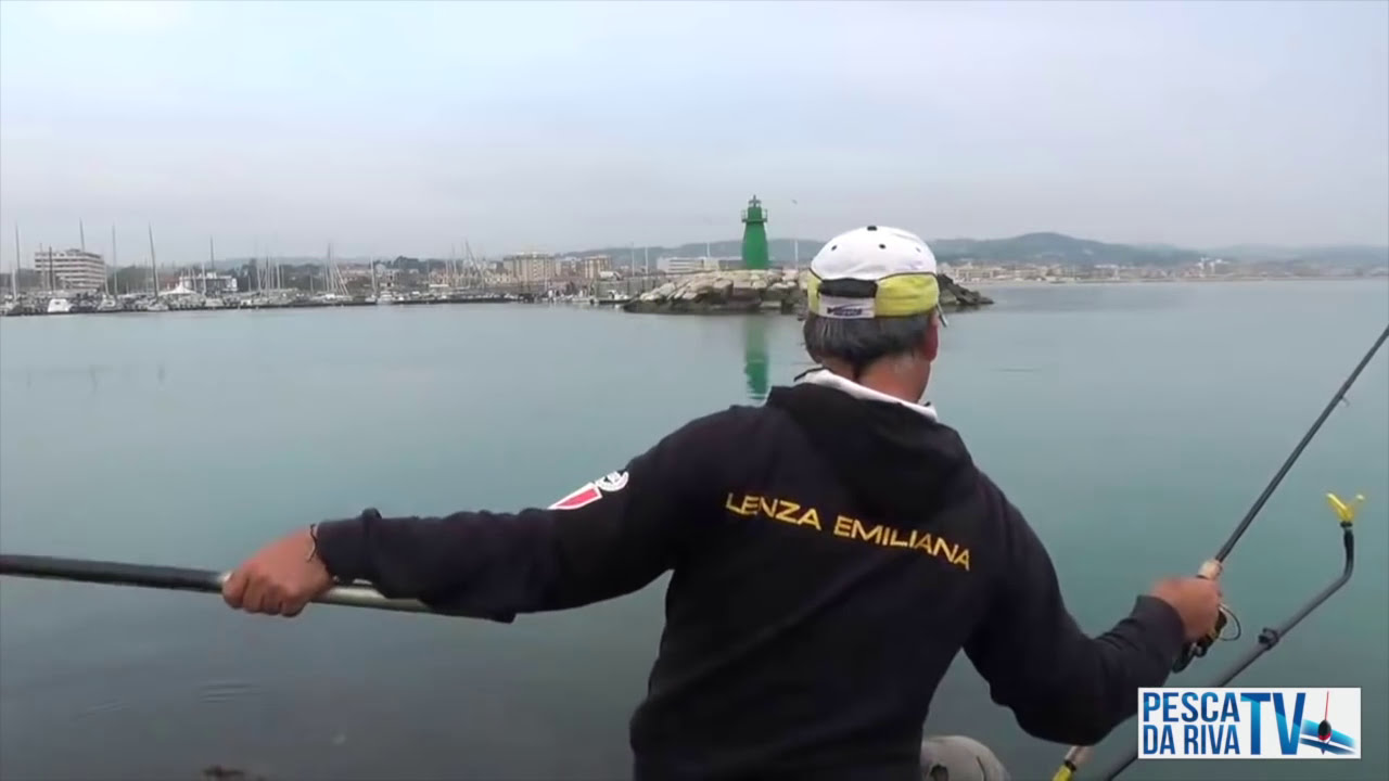 PESCA IN MARE a FEEDER e METHOD per CEFALI, ORATE, MORMORE | CONSIGLI PER PESCARE CON I PASTURATORI