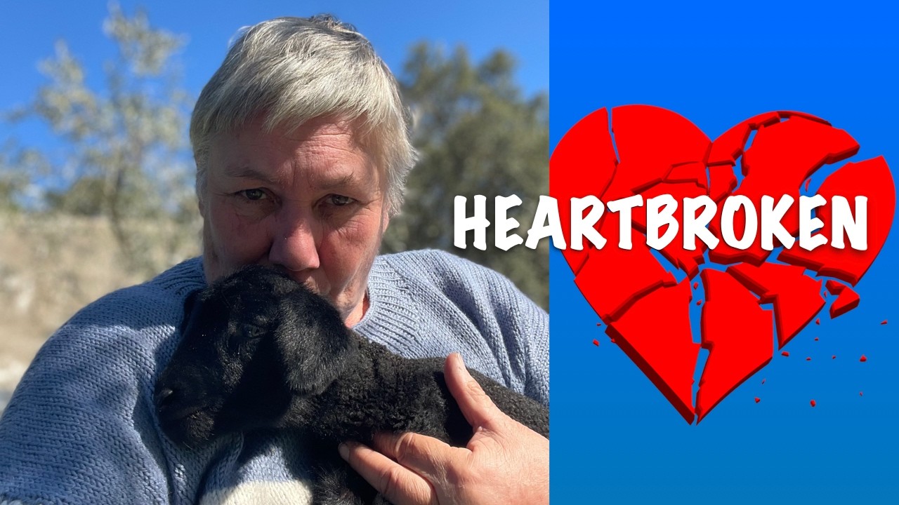 HEARTBROKEN / SOLO OFF-GRID LIFE IN PORTUGAL
