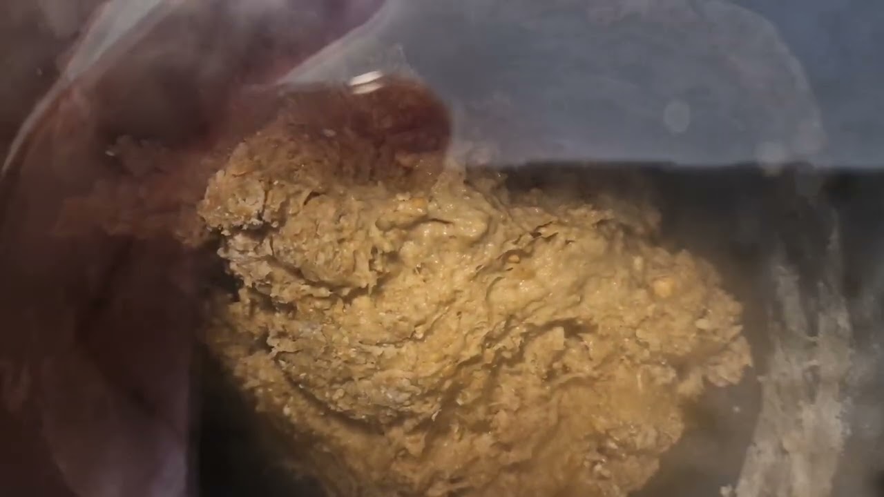 Volkorenbrood bakken met de broodbakmachine