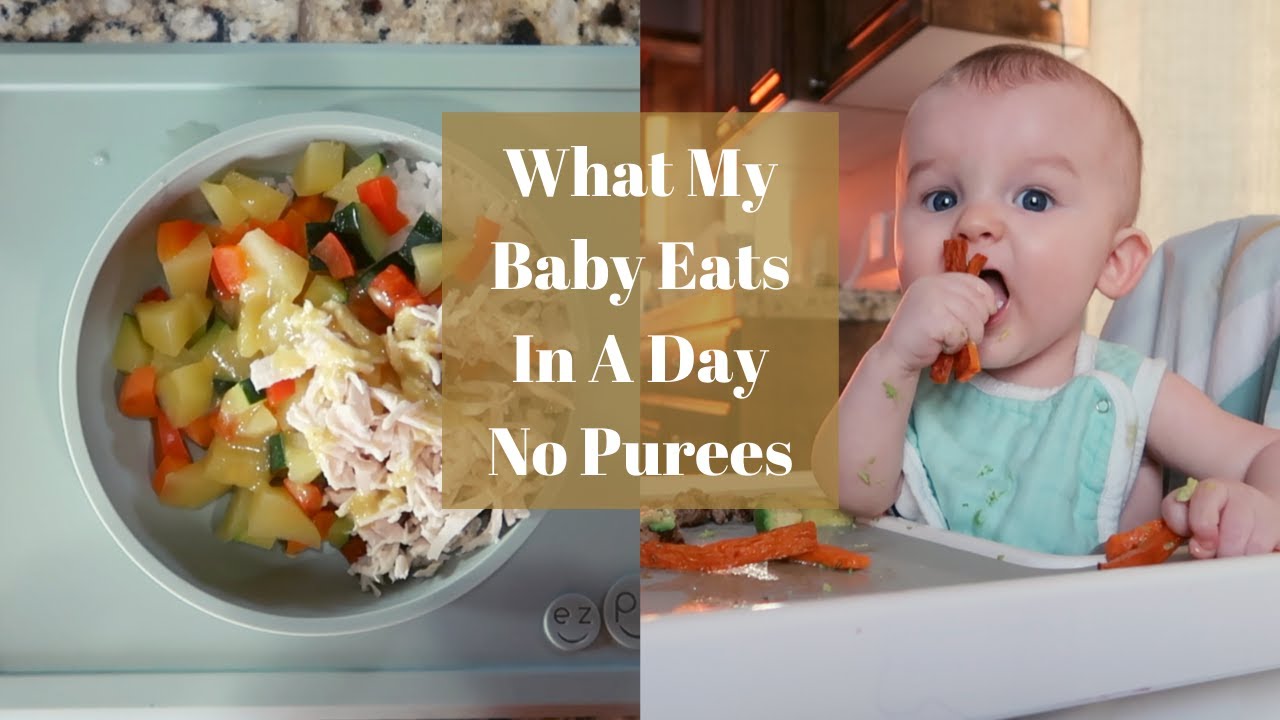 What My 8 Month Old Eats In A Day| Baby Led Weaning