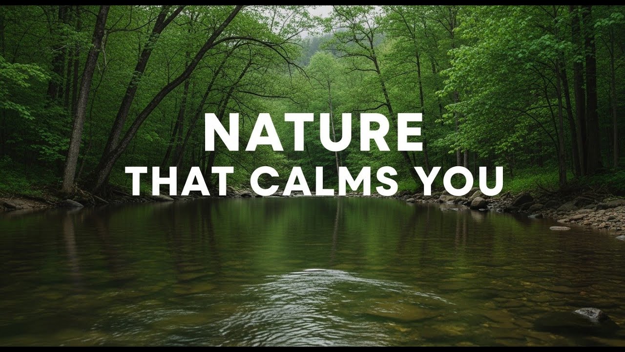 Deep Sleep River Sounds 12 Hours Calm Background Audio for Meditation
