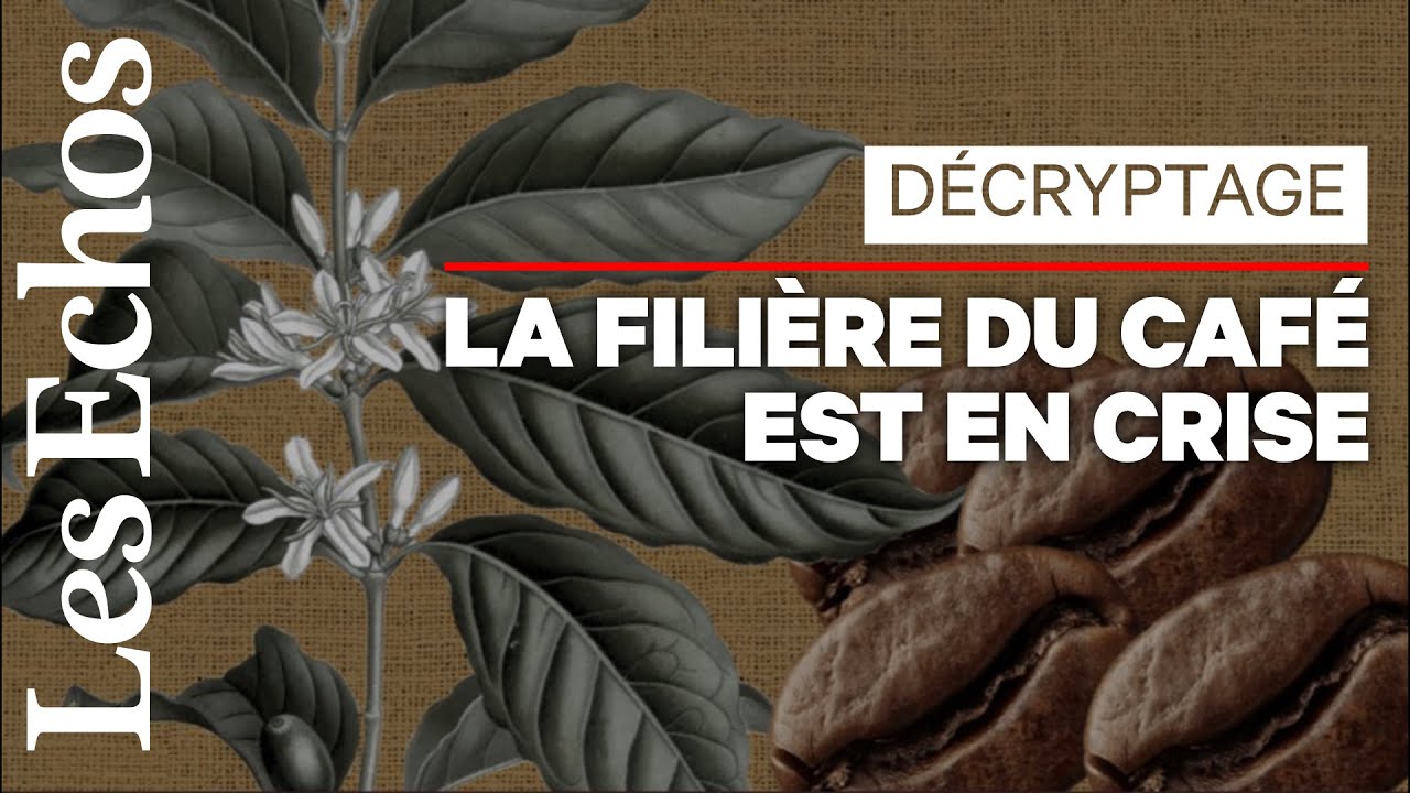La crise au goût amer des producteurs de café