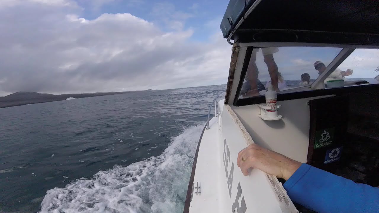 Waveriders in the Galapagos