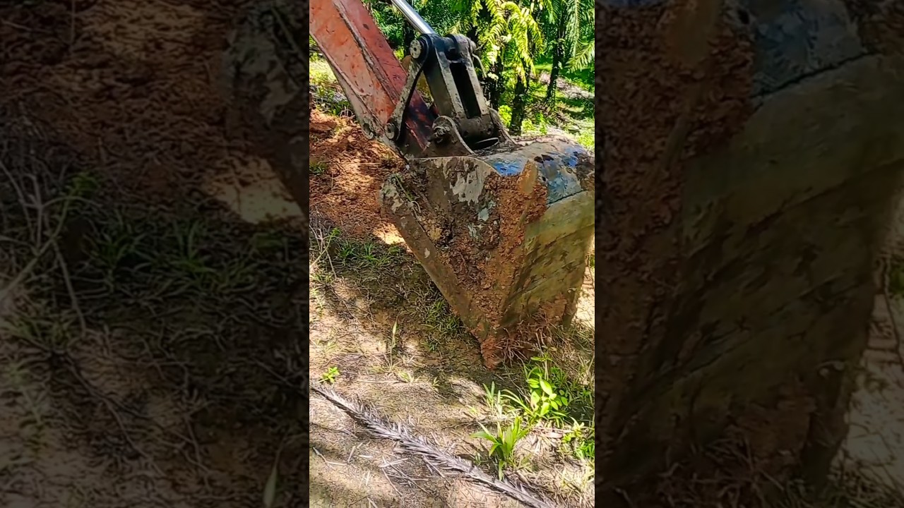 Teresan Jalan Kebun Sawit Pakai Excavator/ Beko #palmoil #sawit #kebunsawit #excavator #beko