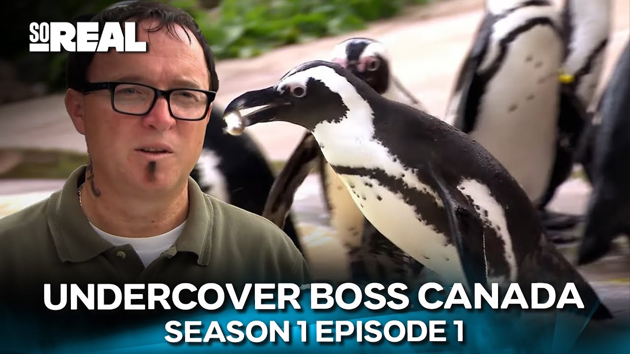 He Looks Like a Worker&hellip; But He&rsquo;s the CEO | Undercover Boss Canada | Season 1 Episode 1