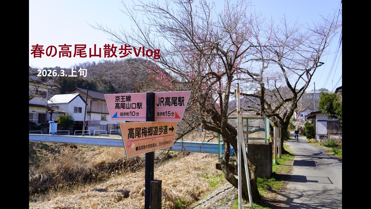 2026年3月 高尾山