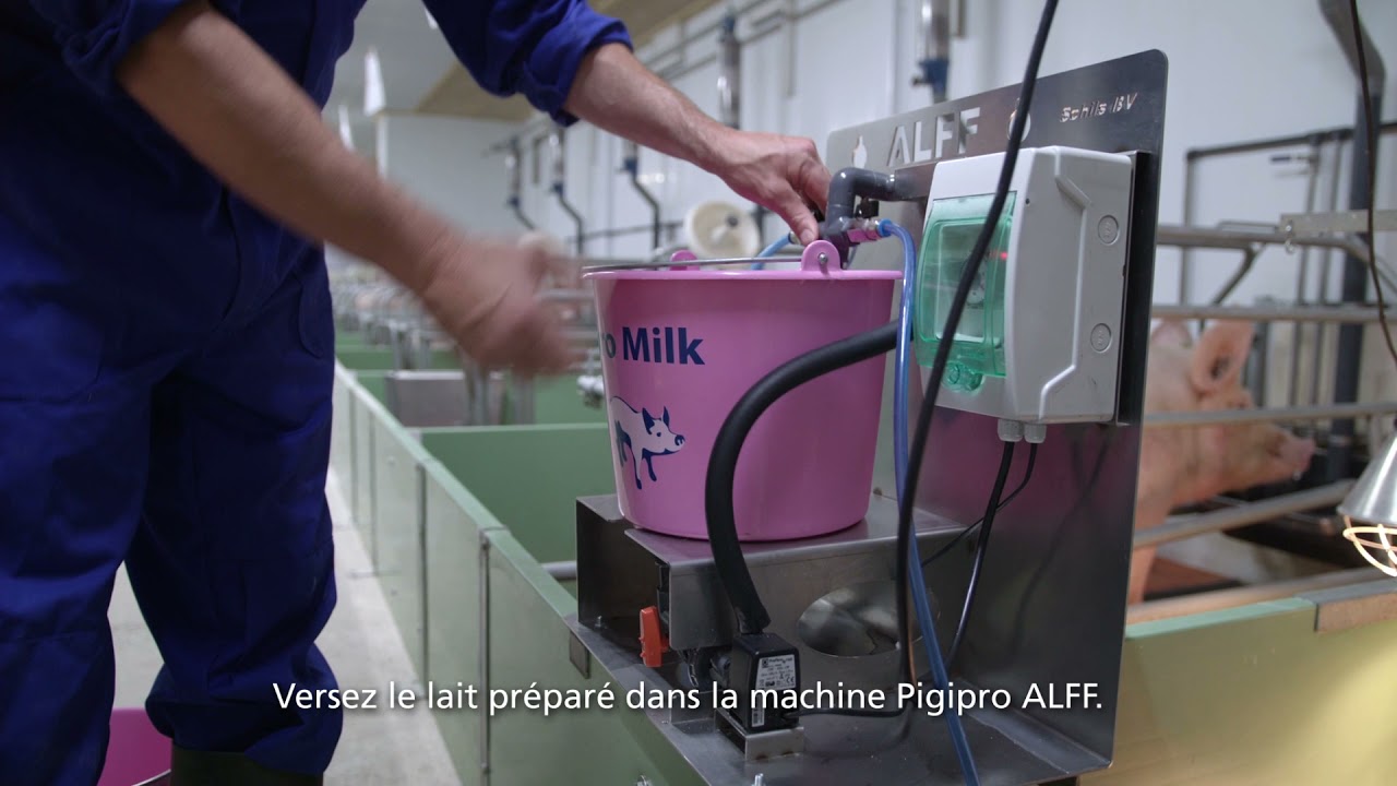 Pigipro ALFF - FR