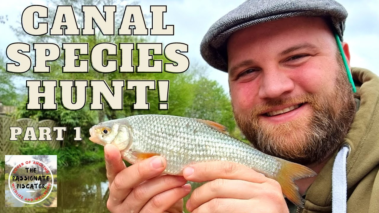 The Mighty 9 - Kennet and Avon Canal Species Hunt (Part 1)