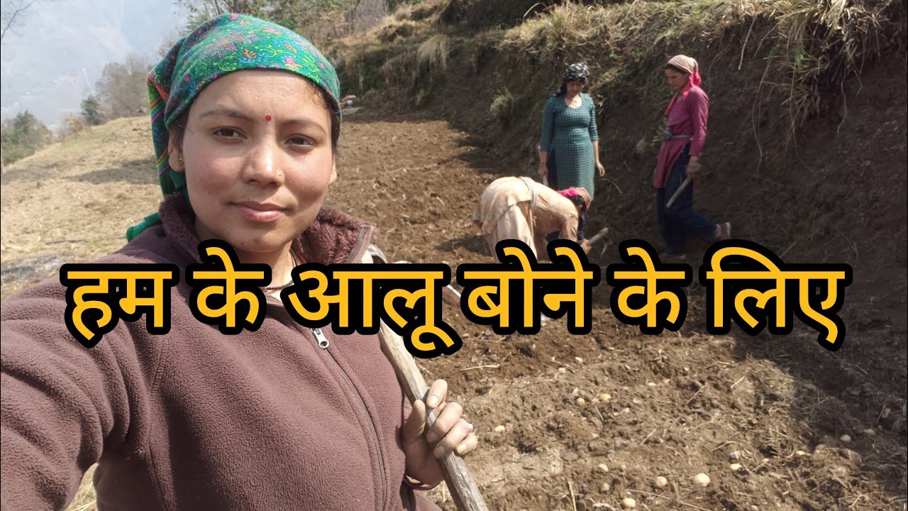 हम गए आलू बोने के लिए आफत बड़ा दिन बन गया
