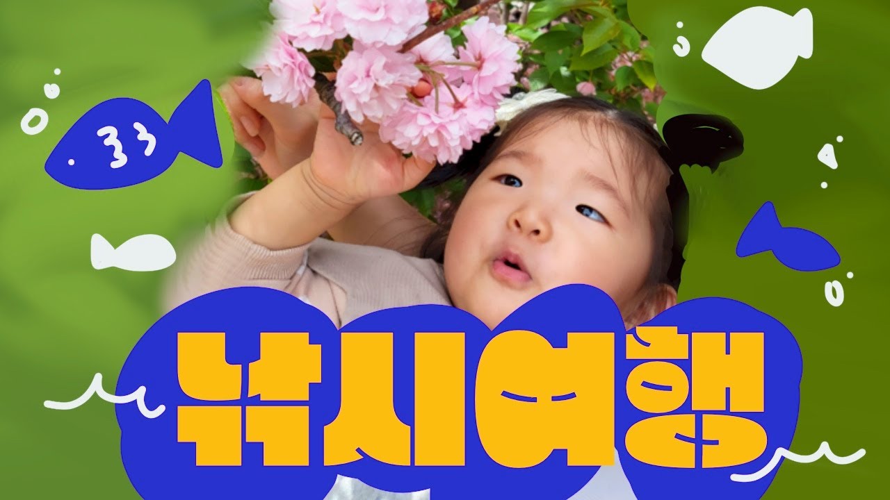 VLOG 이름도 생소한 추자도 낚시여행 /이제는 4인가족일상 / 배타고 비행기타고