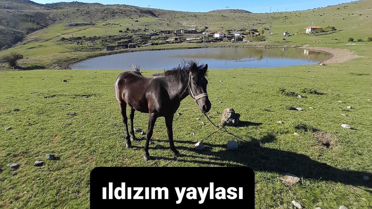 ILDIZIM Yaylası Korgun ÇANKIRI