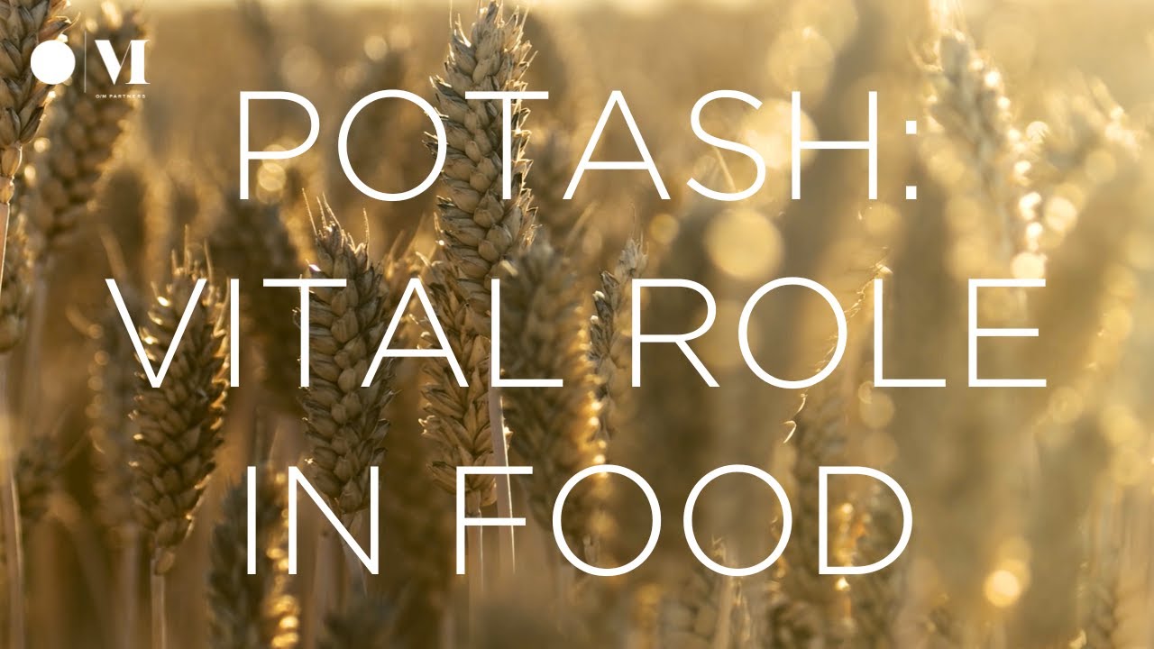 6 Minute CEO - Potash's Hidden Value: Sage Potash's Success