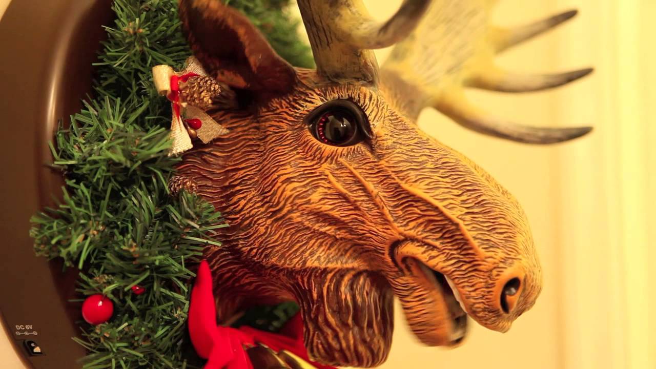 Reindeer