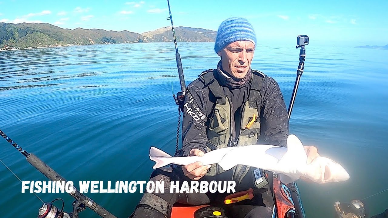 Fishing Wellington Harbour, New Zealand.