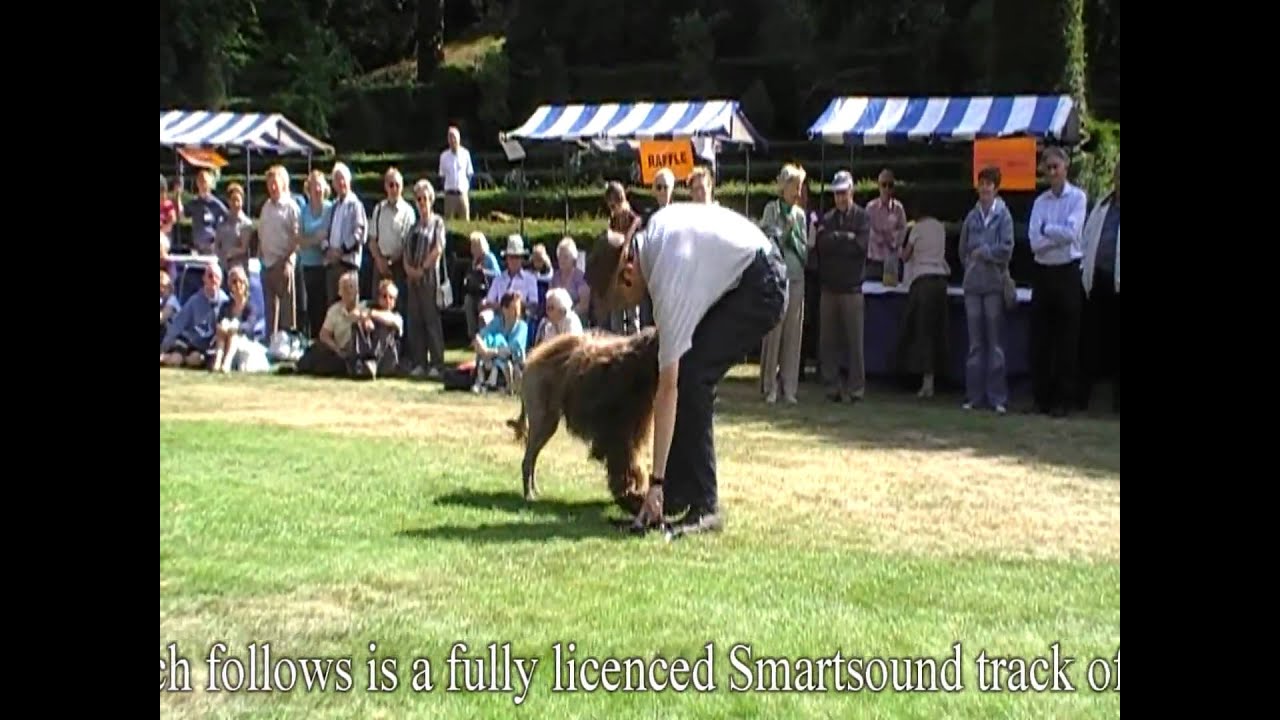 Richard Curtis K9 freestyle dancing dogs Disco dancing