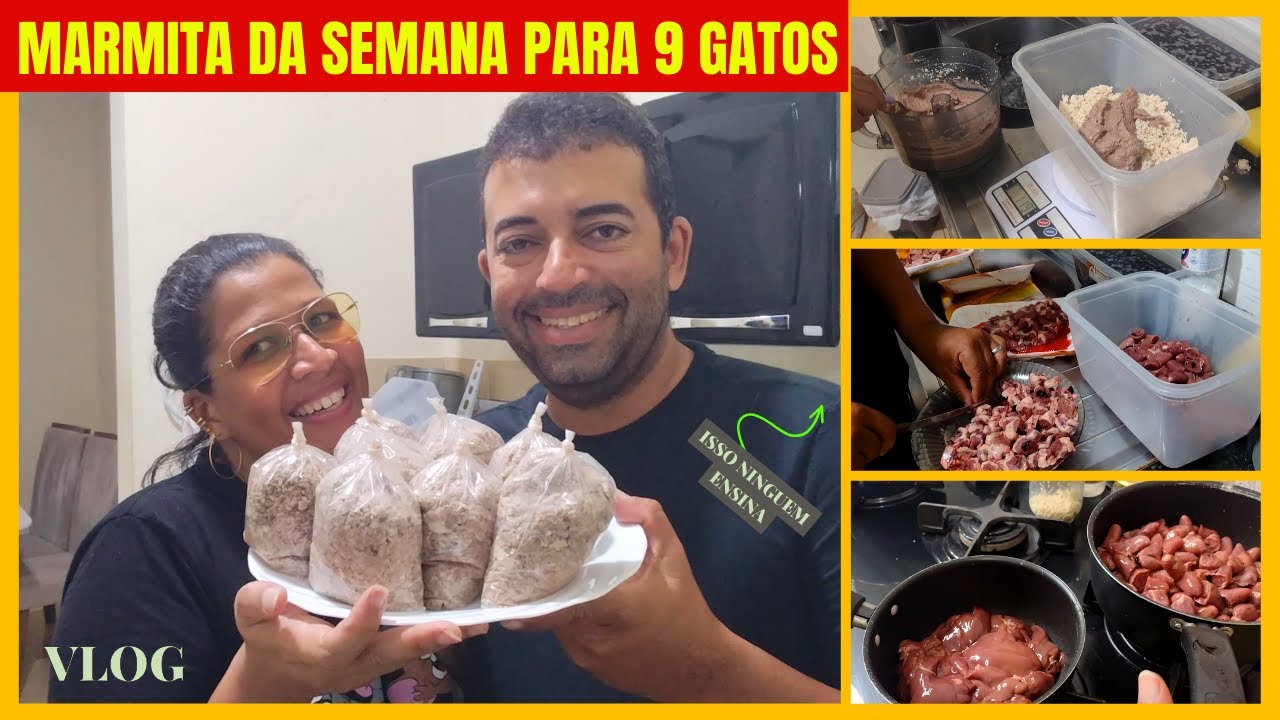 COMIDA NATURAL PARA GATOS ( PREPARE DO JEITO CERTO) - PASSO A PASSO